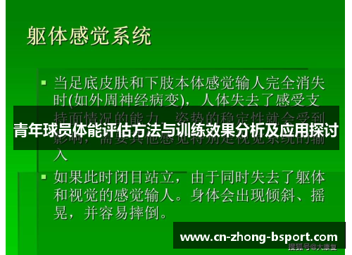 青年球员体能评估方法与训练效果分析及应用探讨