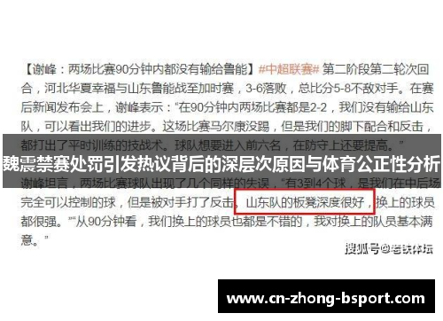魏震禁赛处罚引发热议背后的深层次原因与体育公正性分析 魏震禁赛处罚引发热议背后的深层次原因与体育公正性分析